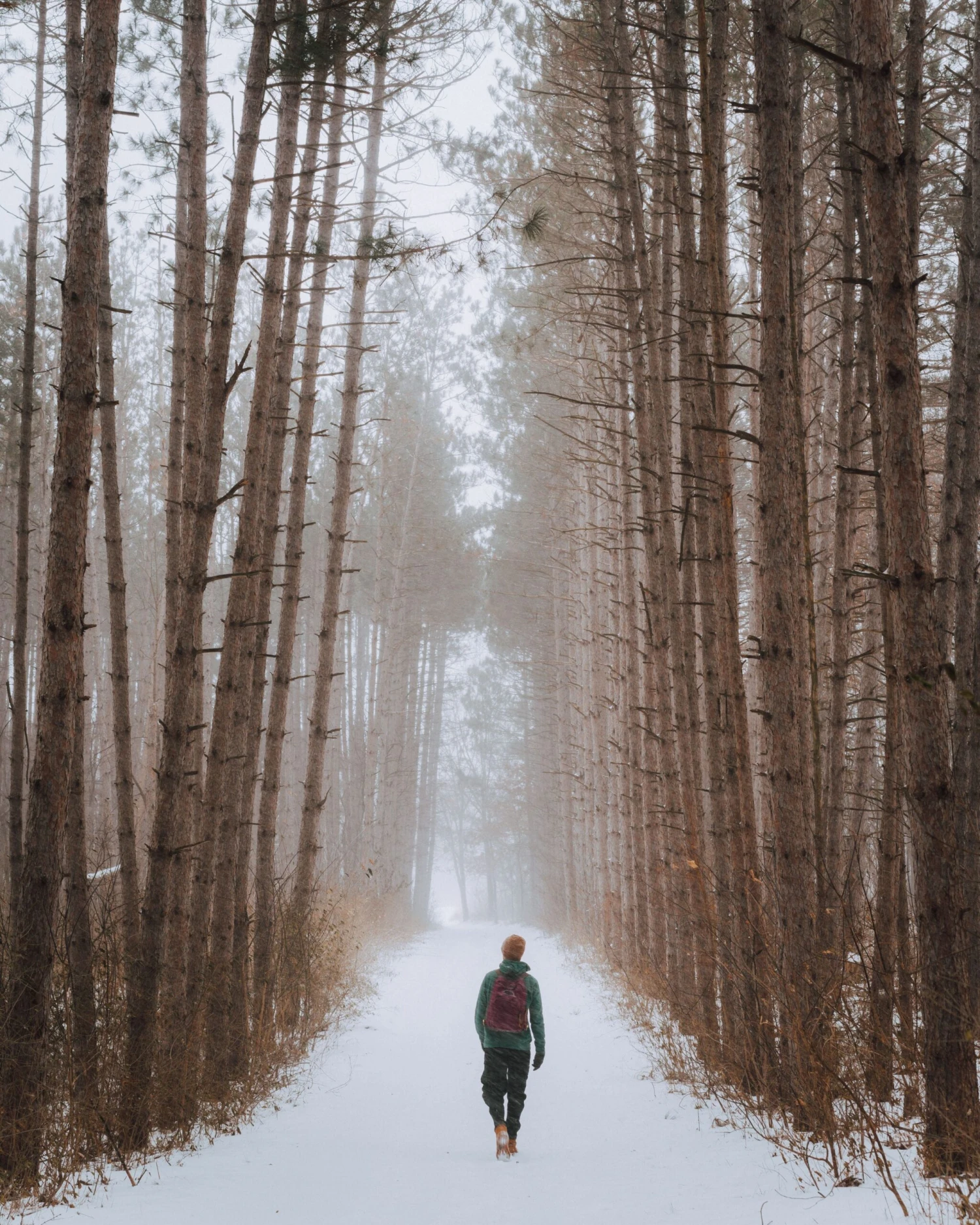 Duluth Pack Standard Laptop Backpack 4 Duluth Pack Standard Laptop Backpack - Image 4