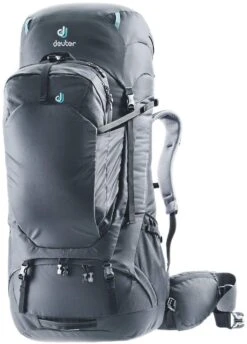 Deuter Aviant Voyager 65+10