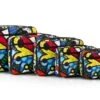 Romero Britto 5 Pieces Packing Cube Set