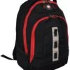 SWISSGEAR Complex 16" Padded Laptop Backpack/School Travel Bag