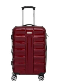 Artic 20" Spinner Carry-On Luggage